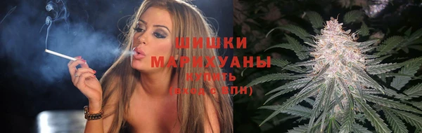 гидра Арсеньев