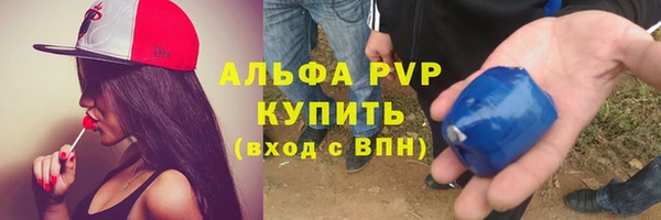 гидра Арсеньев