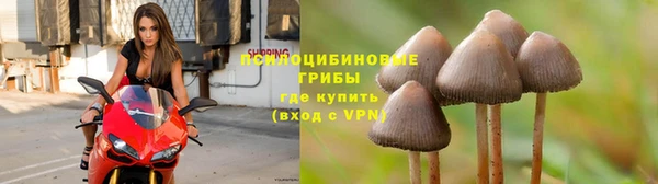 mdpv Армянск