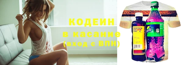 гидра Арсеньев