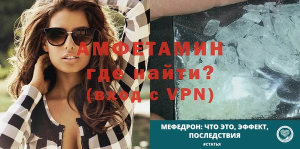гидра Арсеньев