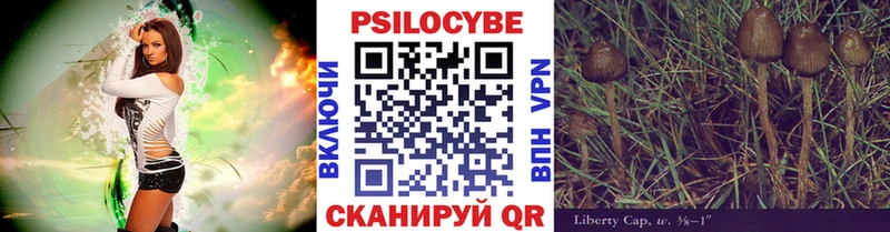 закладка  Павловский Посад  Галлюциногенные грибы мухоморы 